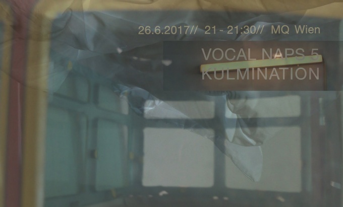 VOCAL NAPS V - Kulmination - Nicole Krenn